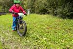 IMG-20240917-WA0032