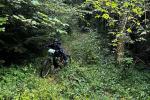 IMG-20240917-WA0041