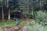 IMG-20240917-WA0043