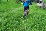 IMG-20250906-WA0115