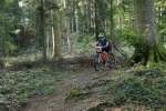 IMG-20240825-WA0054